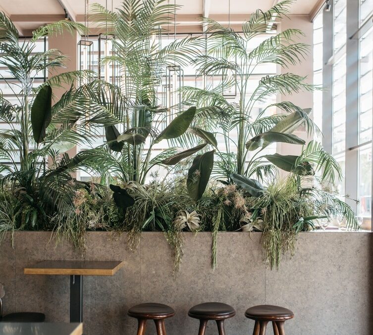 separador ambientes jardinera