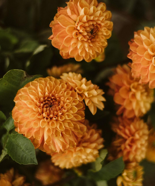 talleres personalizados